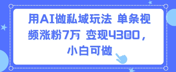 用AI做私域玩法，单条视频涨粉7W变现4.3k，小白可做-LanTi云网创