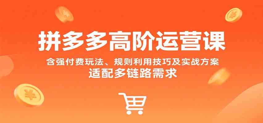 拼多多高阶运营课，含强付费玩法、规则利用技巧及实战方案，适配多链路需求-LanTi云网创