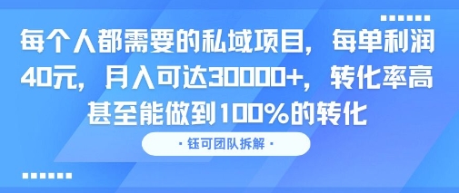 每个人都需要的私域项目，每单利润40米，月入可达3W+，转化率高 甚至能做到100%的转化-LanTi云网创