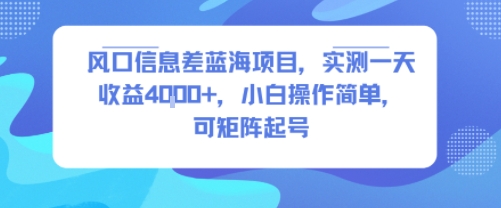 风口信息差蓝海项目，实测一天收益4k+，小白操作简单，可矩阵起号-LanTi云网创