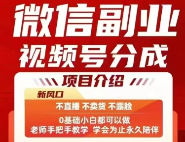 微信副业视频号分成，不直播 不卖货 不露脸，三五分钟即可完成一条作，每日收益几十、几张不等-LanTi云网创