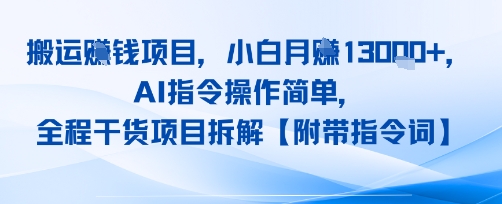 搬运挣钱项目，AI指令操作简单，小白月入1W+，全程干货项目拆解-LanTi云网创