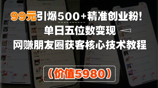 99元引爆500+精准创业粉！单日五位数变现，网创朋友圈获客核心技术教程-LanTi云网创