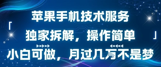 苹果手机技术服务，独家拆解，操作简单，小白可做，月过1W不是梦-LanTi云网创