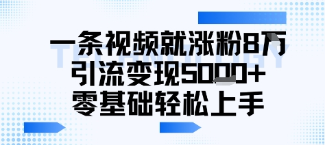 一条视频就涨粉8W引流变现5k+，0基础项目轻松上手-LanTi云网创