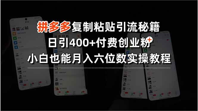 （15613期）拼多多复制粘贴引流秘籍，日引400+付费创业粉，小白也能月入六位数实操…-LanTi云网创