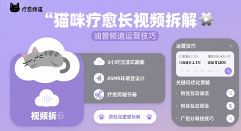 猫咪疗愈长视频拆解 &油管频道运营技巧-LanTi云网创