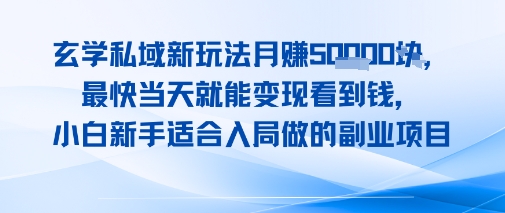 玄学私域新玩法月入1W+，最快当天就能变现看到米，小白新手适合入局做的副业项目-LanTi云网创